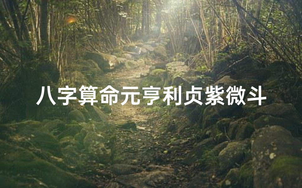 八字算命元亨利贞紫微斗数(排盘软件推荐 排盘怎么看 )-算卦网
